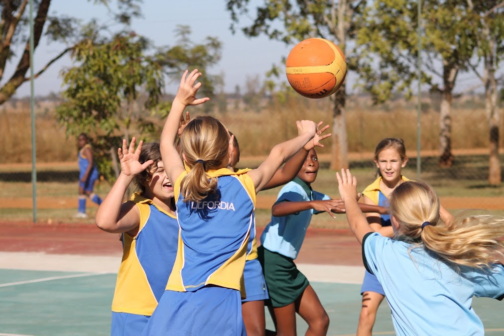 Sport - Netball