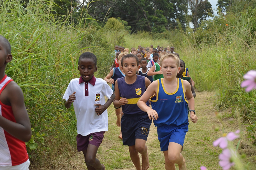 lilfordia-sports-gallery 1